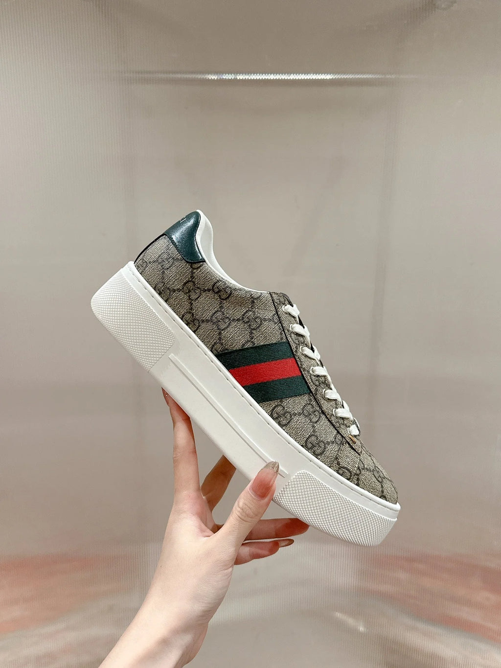 GG Ace Sneaker Begie Ebony Canvas